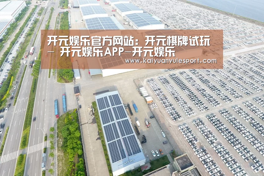 案例展示三