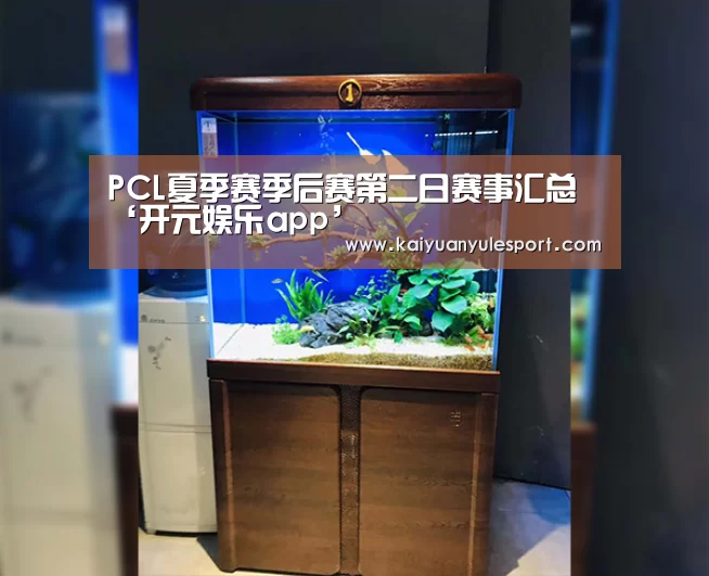 开云游戏