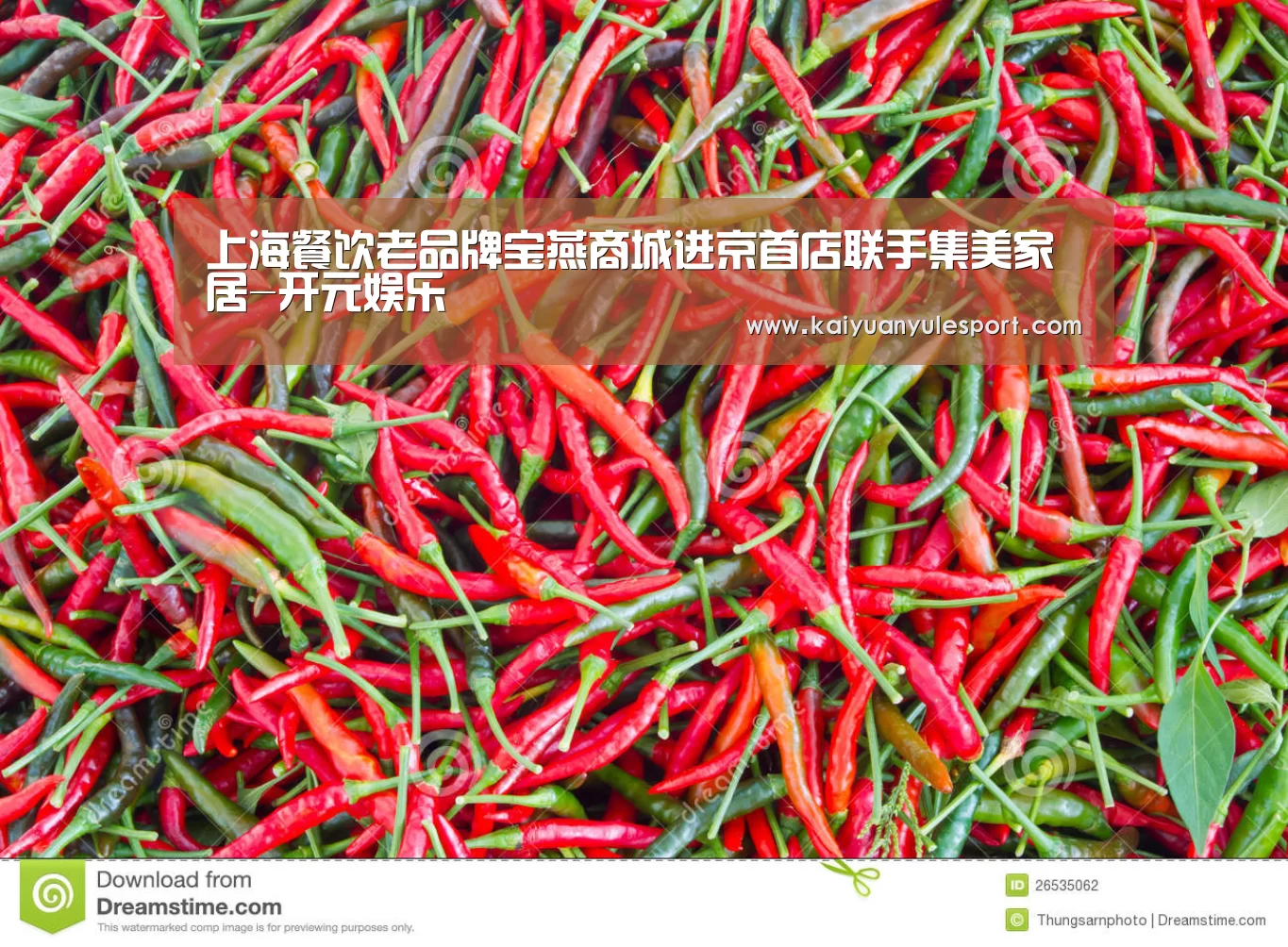 开元娱乐app
