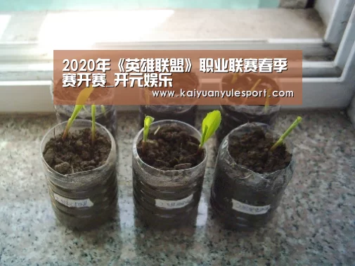 2020年《英雄联盟》职业联赛春季赛开赛_开元娱乐(图1) 开元娱乐官网