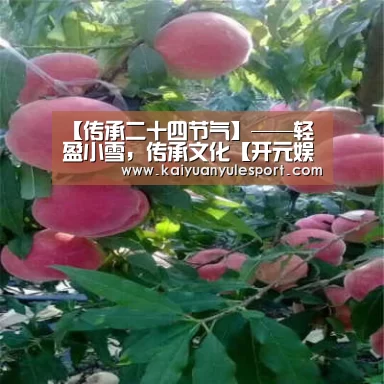 【传承二十四节气】——轻盈小雪,传承文化【开元娱乐官网】(图1) 开元娱乐官网