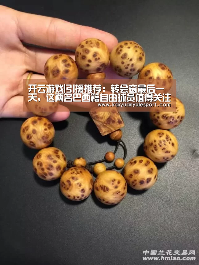 开云游戏